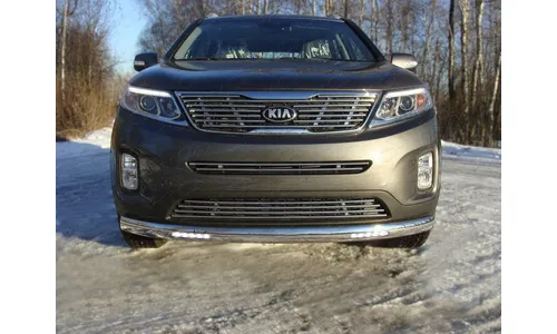 Защита передняя (овальная с ДХО) 75х42 мм KIASOR12-17 — фото 1