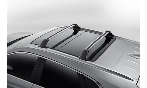 Поперечины крыши для Cadillac XT5 I, анодированный алюминий, GM — фото 1