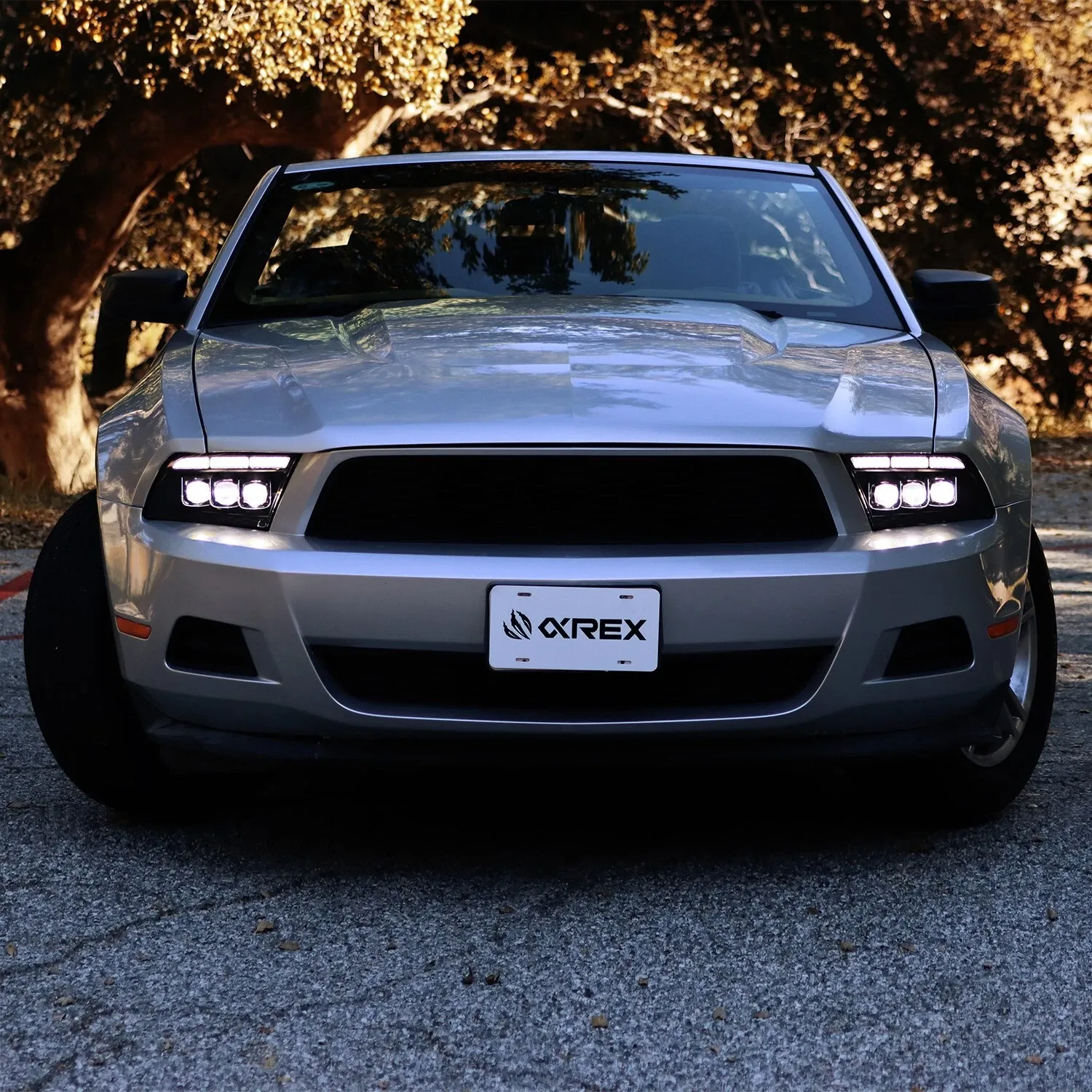 Фары проекторные светодиодные Black Nova для Ford Mustang 2013–2014, AlphaRex — фото 3