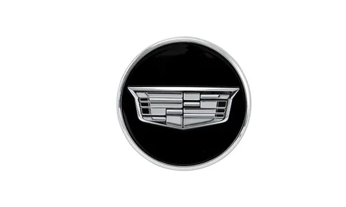 Центральный колпачок, монохромная эмблема, чёрный, GM — фото 1