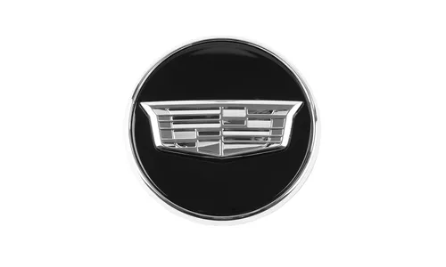 Центральный колпачок, монохромная эмблема, чёрный, GM — фото 1