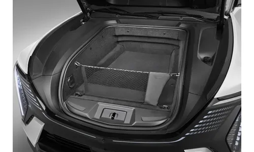 Вертикальная сетка переднего багажника для Cadillac Escalade IQ / IQL, GM — фото 4