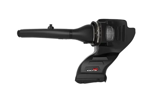 Система холодного впуска Momentum HD, с фильтром Pro DRY S для Ford F-150 2018–2021 V6-3.0L (td), AFE Power — фото 6