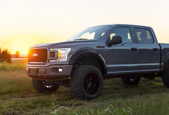 Расширители колёсных арок Defender, цвет JS Iconic Silver, Ford F-150 (2015–2020), Rough Country — фото 3