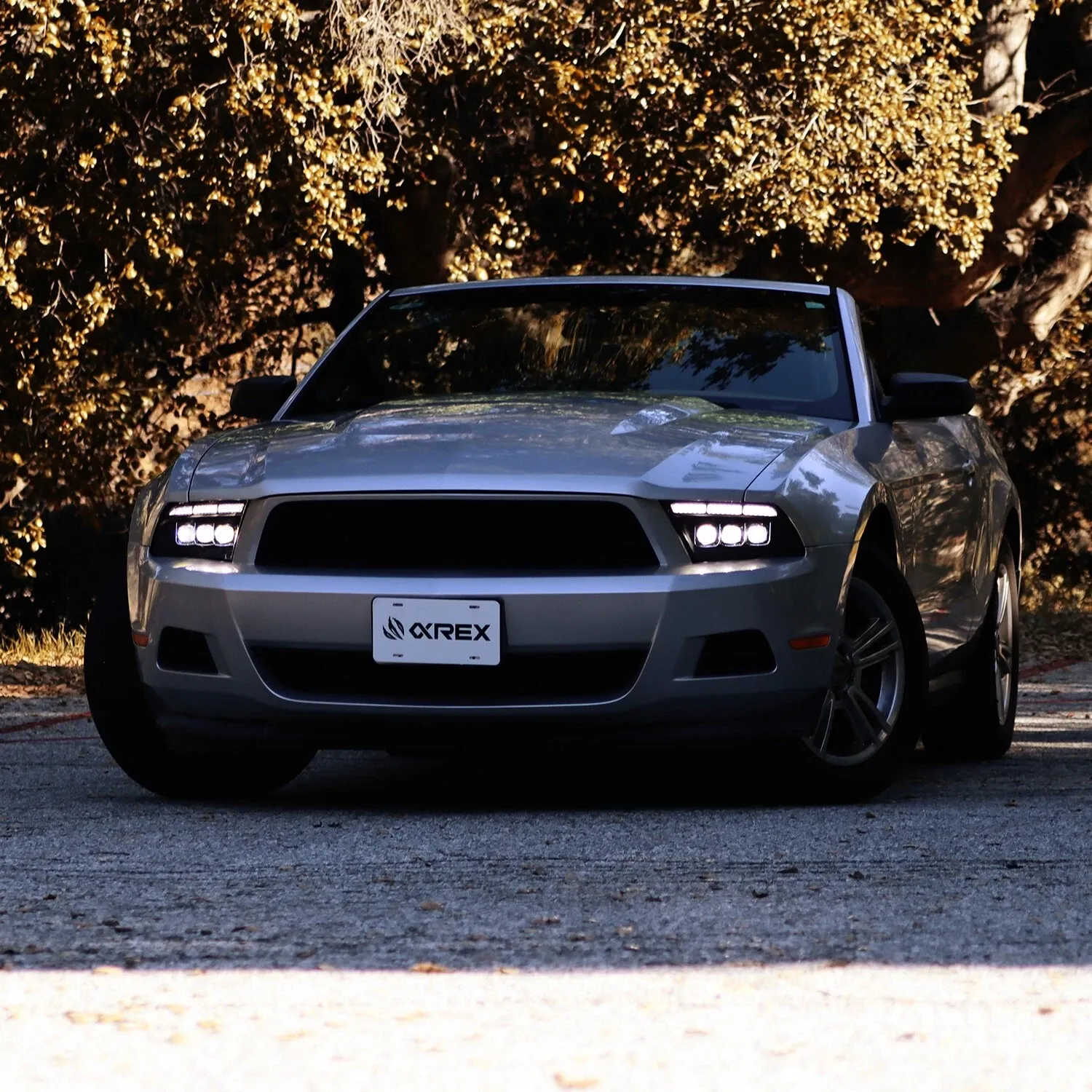 Фары проекторные светодиодные Black Nova для Ford Mustang 2013–2014, AlphaRex — фото 2