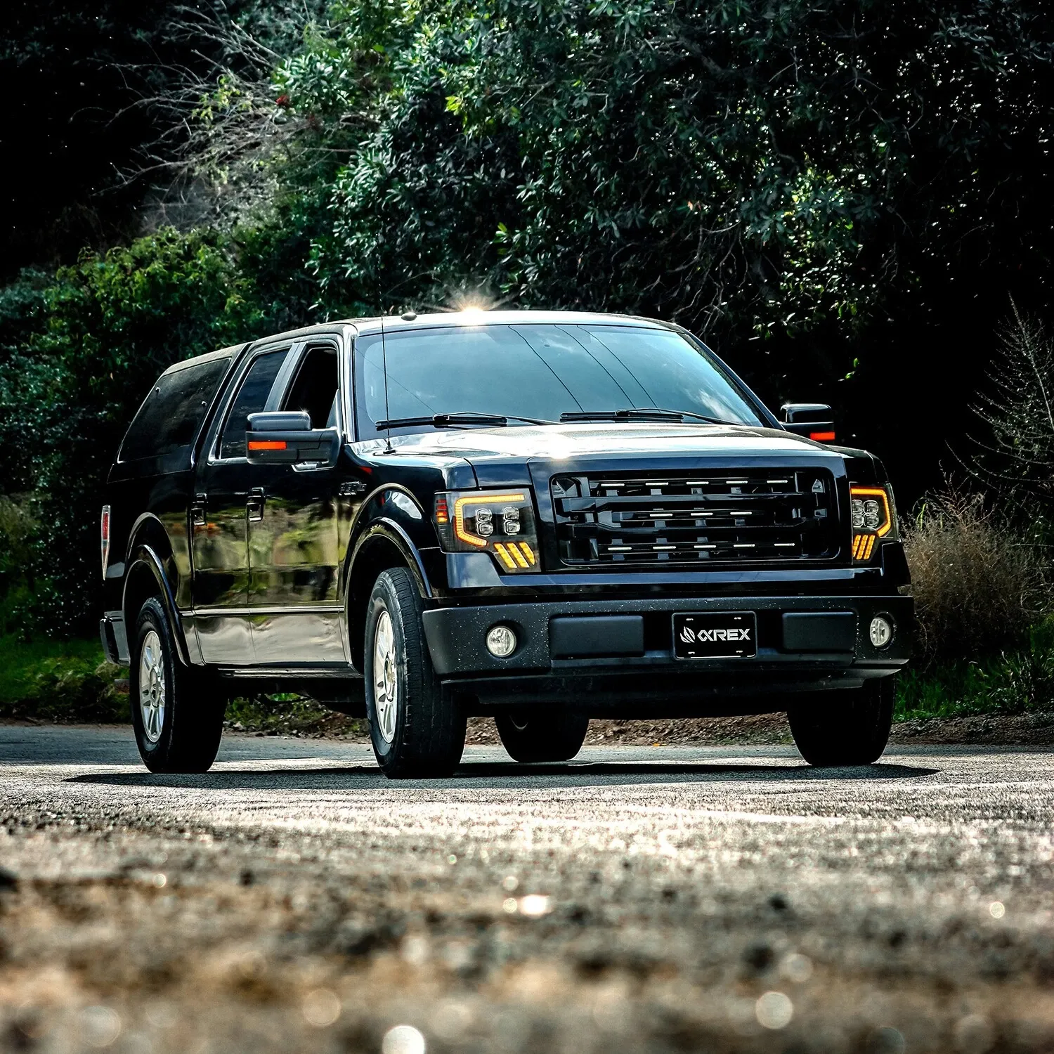 Фары проекторные Alpha-Black MKII Nova для Ford F-150 2009–2014, AlphaRex — фото 4