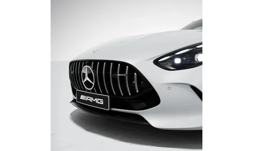 Решетка Panamericana Silver Chrome Mercedes-AMG GT C192 — фото 1