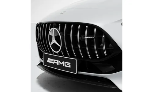 Решетка Panamericana Silver Chrome Mercedes-AMG GT C192 — фото 2