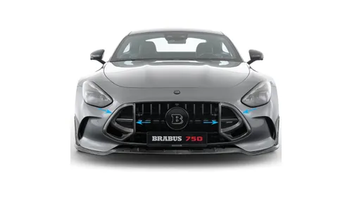 Комплект глянцевых карбоновых вставок решетки Brabus для Mercedes-AMG GT C192 — фото 1