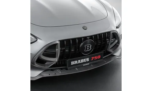 Комплект матовых карбоновых вставок решетки Brabus для Mercedes-AMG GT C192 — фото 3