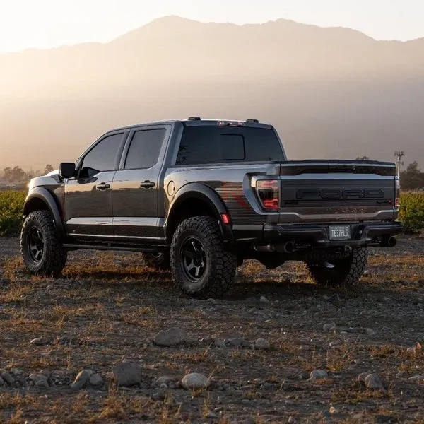 Фонари задние светодиодные LUXX Alpha-Black для Ford F-150 XL/XLT/STX 2024–2026, AlphaRex — фото 4