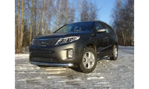 Защита передняя (овальная) 75х42 мм KIASOR12-01 — фото 1