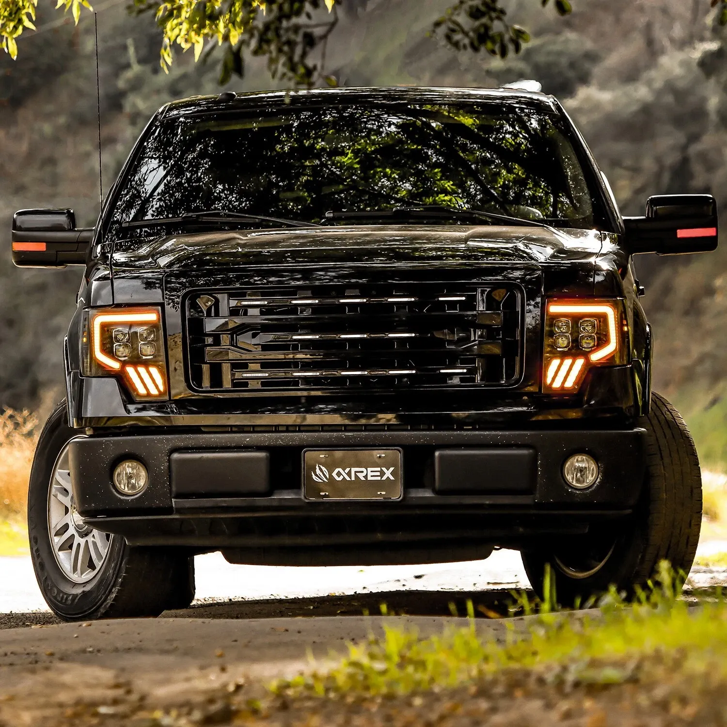 Фары проекторные Alpha-Black MKII Nova для Ford F-150 2009–2014, AlphaRex — фото 2
