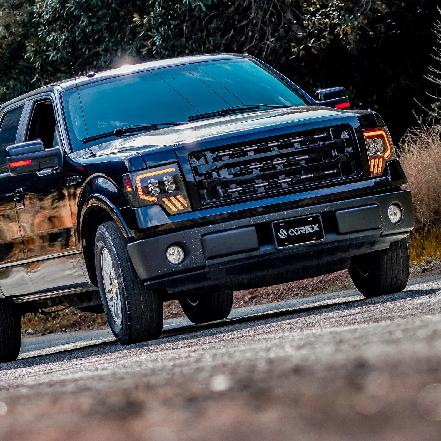 Фары проекторные Alpha-Black MKII Nova для Ford F-150 2009–2014, AlphaRex — фото 3