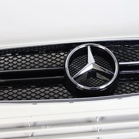 Решетка G 63 AMG Mercedes-Benz G-Класс W463 с загрунтованной рамкой — фото 3